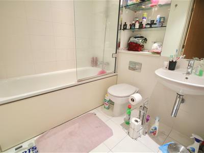 Picture 7